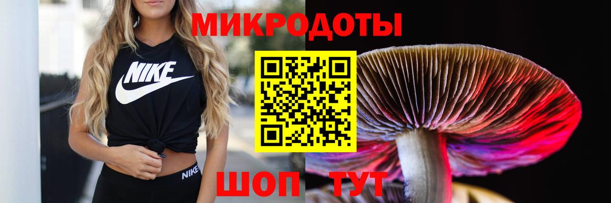 Псилоцибиновые грибы MAGIC MUSHROOMS  Вход с VPN  Магнитогорск  Псилоцибиновые грибы Psilocybine cubensis 